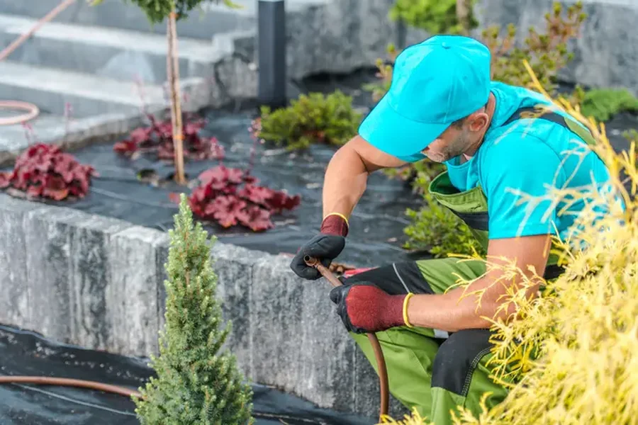 Affordable Landscape Installation Kennett Square, PA Affordable Landscape Installation Kennett Square, PA