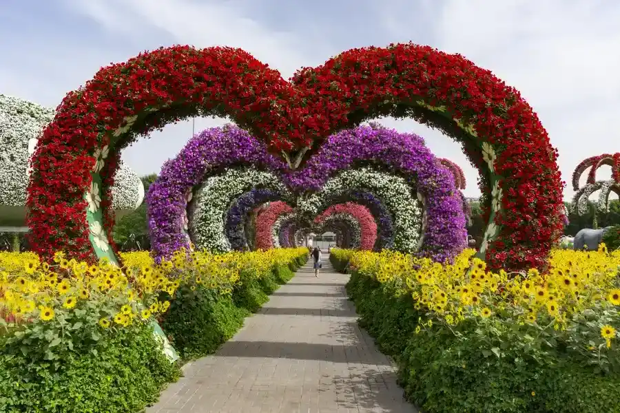 Excellent Landscape Installation Kennett Square, PA Excellent Landscape Installation Kennett Square, PA