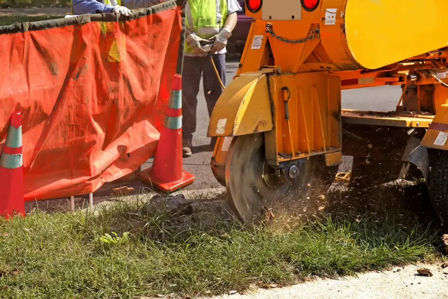 Expert Stump Grinding Kennett Square, PA Expert Stump Grinding Kennett Square, PA