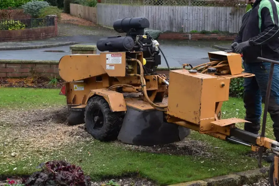 How Stump Grinding Improves Lawn Health And Appearance Kennett Square, PA How Stump Grinding Improves Lawn Health And Appearance Kennett Square, PA