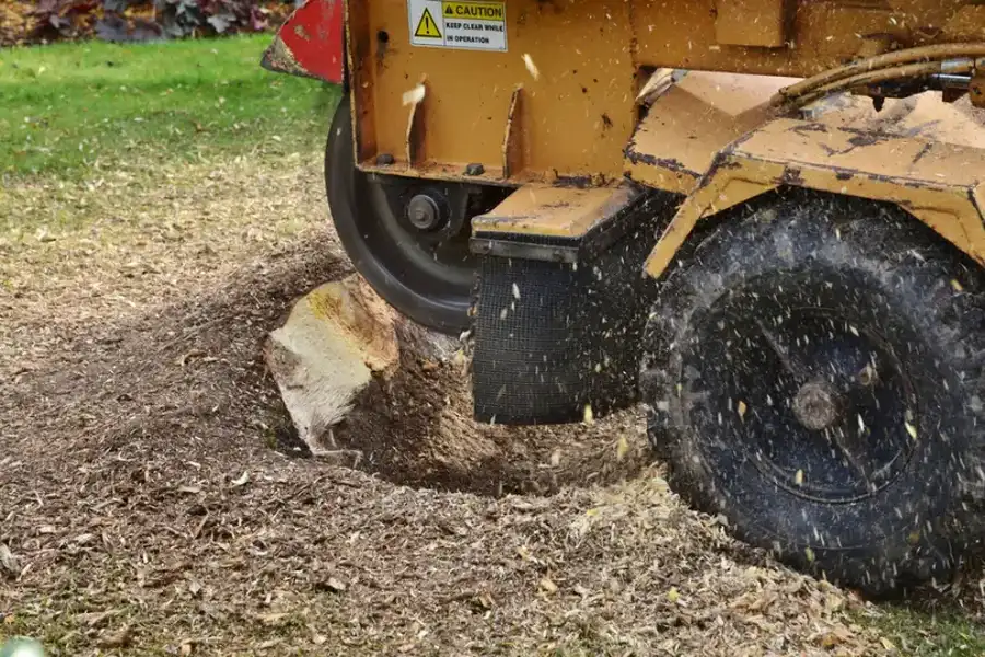 How Stump Grinding Improves Lawn Health And Appearance in Kennett Square, PA How Stump Grinding Improves Lawn Health And Appearance in Kennett Square, PA