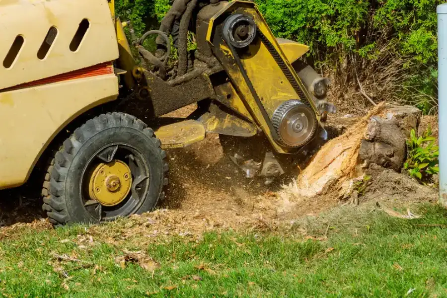 How Stump Grinding Prepares Your Yard For New Landscaping Kennett Square, PA How Stump Grinding Prepares Your Yard For New Landscaping Kennett Square, PA