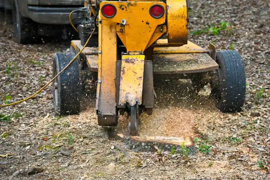 How Stump Grinding Prepares Your Yard For New Landscaping in Kennett Square, PA How Stump Grinding Prepares Your Yard For New Landscaping in Kennett Square, PA