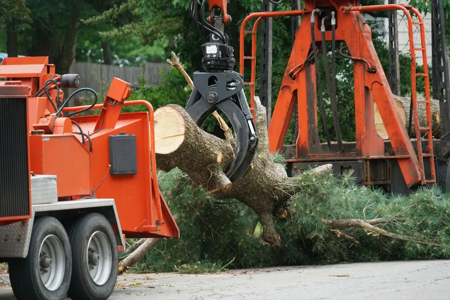 Local Tree Service Kennett Square, PA Local Tree Service Kennett Square, PA