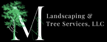 M Landscaping & Tree Services LLC