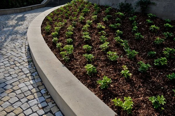 M Landscaping & Tree Services LLC's other services M Landscaping & Tree Services LLC's other services