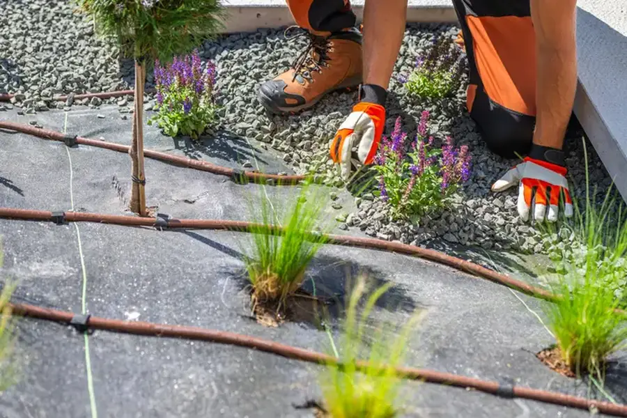 Premium Landscape Installation Kennett Square, PA Premium Landscape Installation Kennett Square, PA