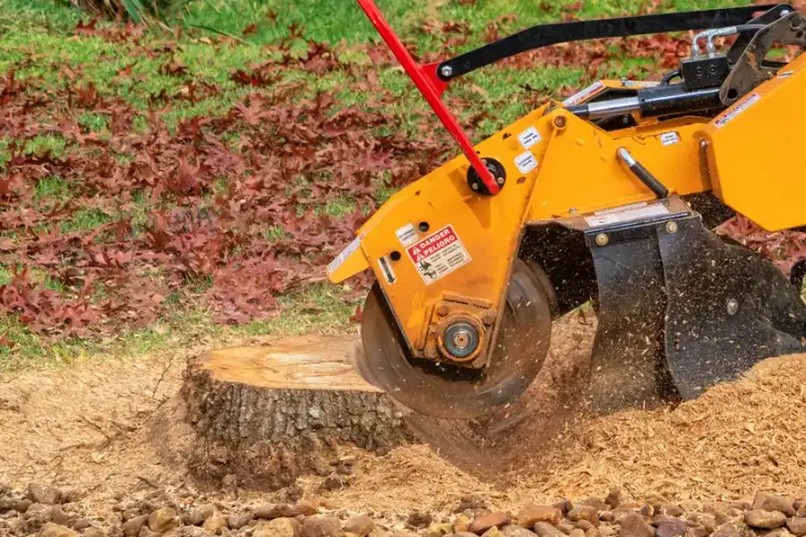Professional Stump Grinding Kennett Square, PA Professional Stump Grinding Kennett Square, PA