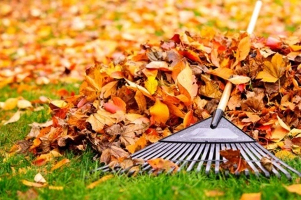Professional landscape company in Kennett Square, PA Professional landscape company in Kennett Square, PA