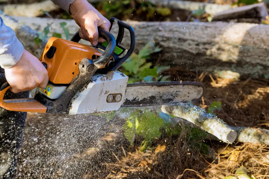 Reputable Tree Service Kennett Square, PA Reputable Tree Service Kennett Square, PA