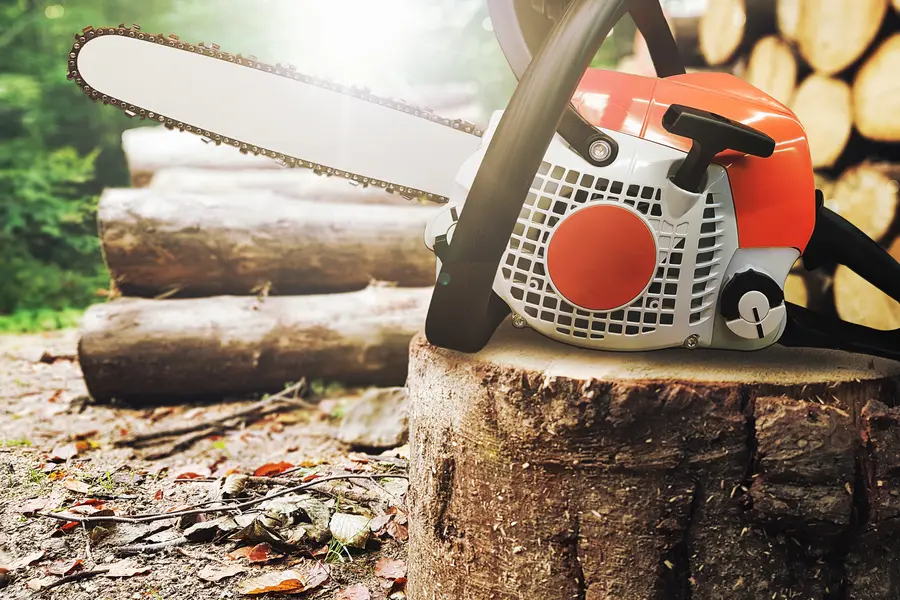 The Importance Of Tree Service For Storm Damage Prevention in Kennett Square, PA The Importance Of Tree Service For Storm Damage Prevention in Kennett Square, PA